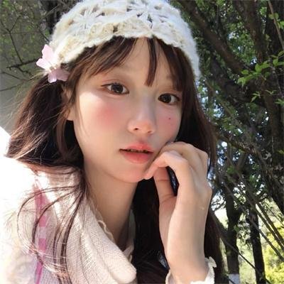 最后的飞行