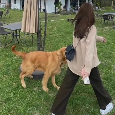 圣母